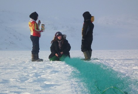 DIABETES IN NORTHERN CANADA: the case for a culturally-appropriate, realistic solution