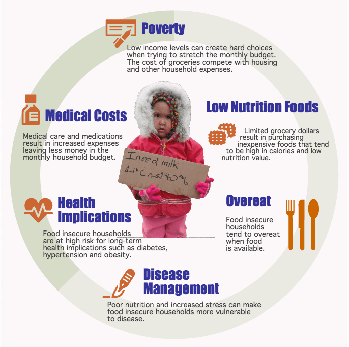 The Food Insecurity Cycle