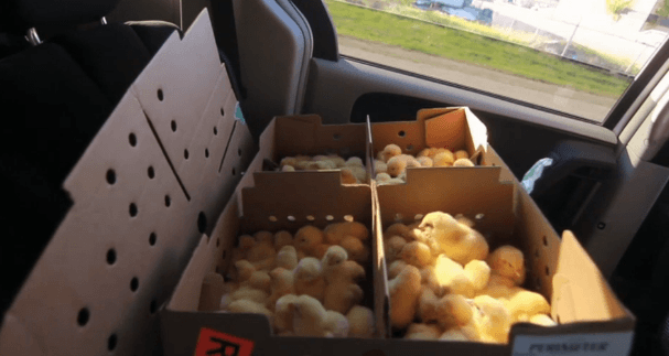 Food Insecurity in Northern Manitoba