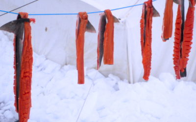 Harvesting Food Security in Nunavut